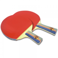 Doble Peces Ping Pong de bajo precio para principiantes